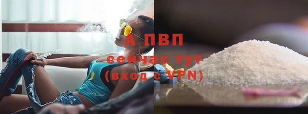 прущие крисы Абаза